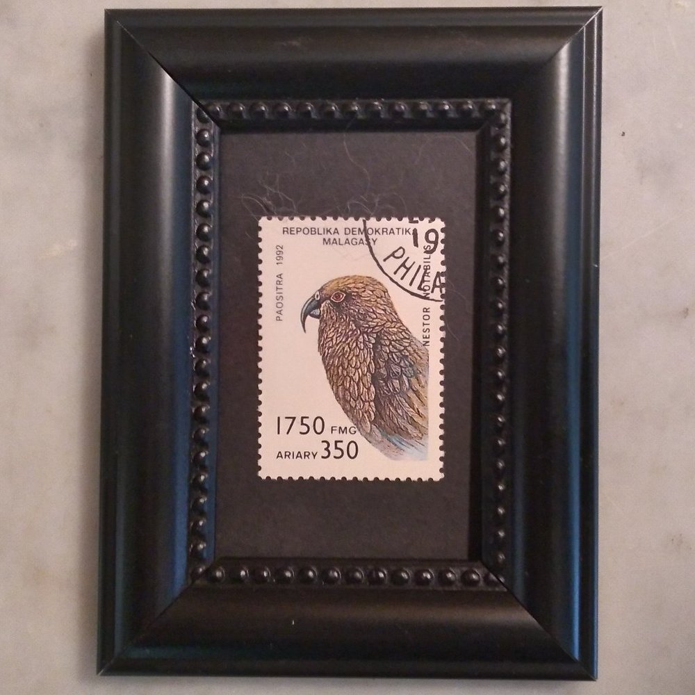 Tchotchke Stamp Art -  Kea Parrot